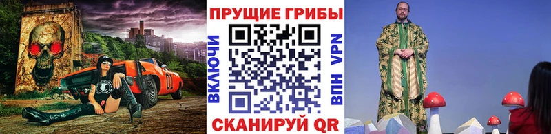 Купить где  Агидель  Псилоцибиновые грибы ЛСД 