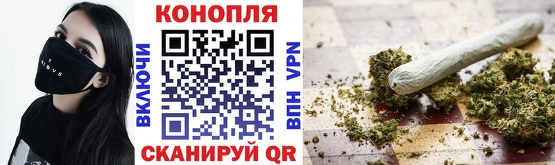 Купить закладки  Агидель  Канабис сатива 